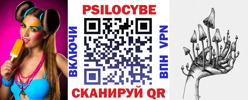 Галлюциногенные грибы Psilocybe  Сухиничи 