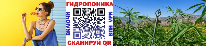 наркотики  МЕГА как войти  Бошки Шишки марихуана  Сухиничи 